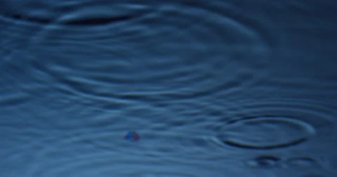 Rain drops splashing in slow motion and making ripples on a water surface Stock Footage 151644656