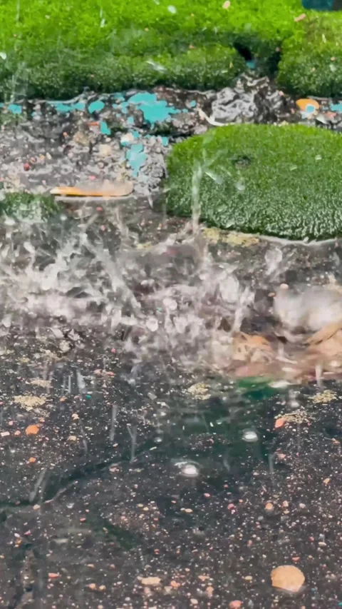 Rain drops splashing into water puddle on asphalt with moss and debris creating Stock Footage 330437688