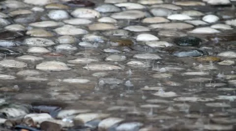 Rain drops on stone Stock Footage 10761798
