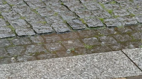 Rain drops on the street 動画素材 56090639