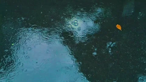 Rain drops on the street,dramatic rain concept Stock Footage 292648496