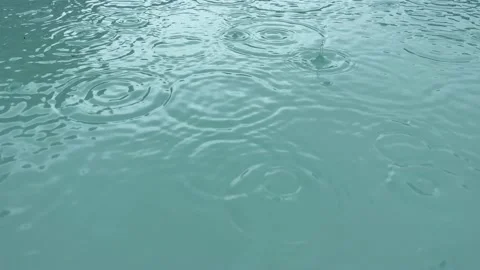 Rain drops on the surface of water in a puddle Stock-Footage 234241936