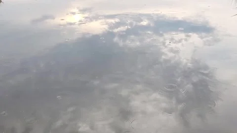 Rain drops on the surface of the water of a puddle or lake Stock Footage 243723193