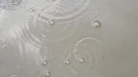 Rain drops on the surface of the water of a puddle or lake Stock Footage 243723217