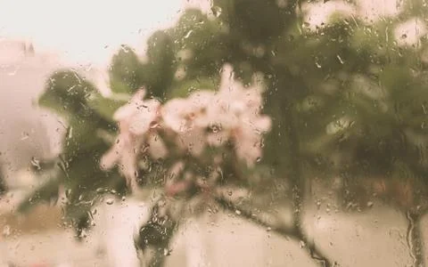Rain Drops On Surface of wet Window Glass pane In Rainy Season. Abstract back Stock Photos