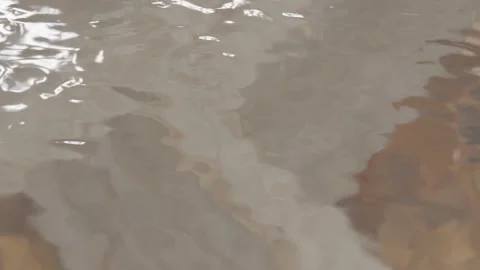 Rain Drops on Swimming Pool Surface 3D Animation Stock Footage 315940038