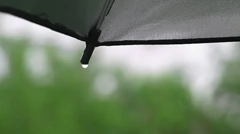 Rain drops on umbrella Stock Footage 11808777