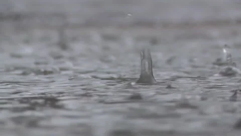 Rain drops water close up slow motion spring 库存影片 332069708