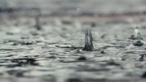 Rain drops water close up slow motion spring Stock Footage 332069728