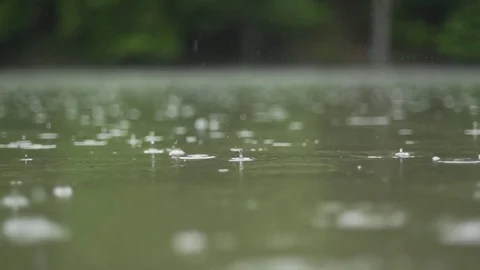 Rain drops on water, cloudy weather, rainy weather, lake in the rain 스톡 동영상 79995651