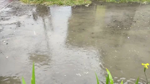 Rain drops water. Drizzle rain water ripples. Видео 218172880