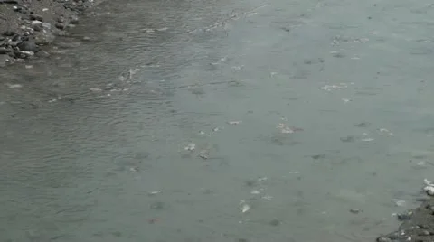 Rain drops in water 스톡 동영상 11052818