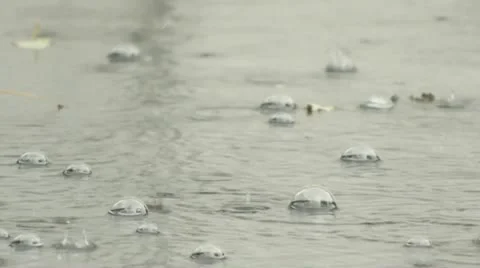 Rain drops in water Stock Footage 11250131