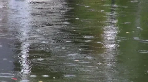 Rain drops on water Stock Footage 25913212