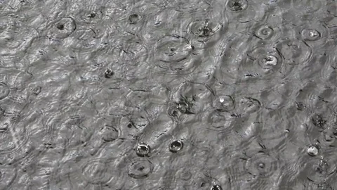 Rain drops on the water Stock Footage 80999151