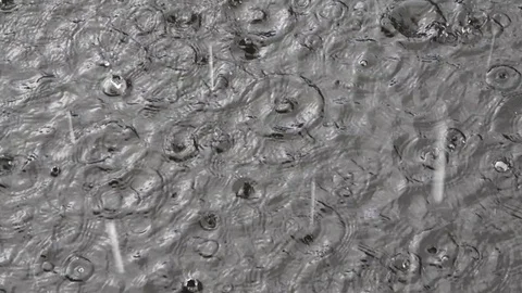 Rain drops on the water Stock Footage 81011006
