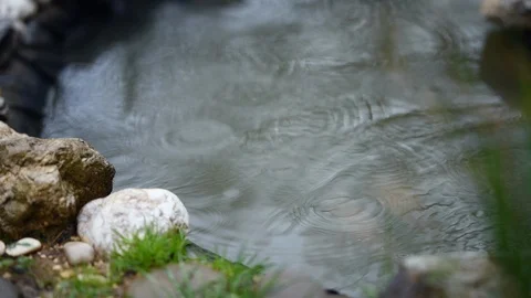 Rain drops on water. Stock Footage 88567442