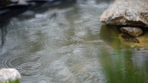 Rain drops on water. Stock Footage 88567515