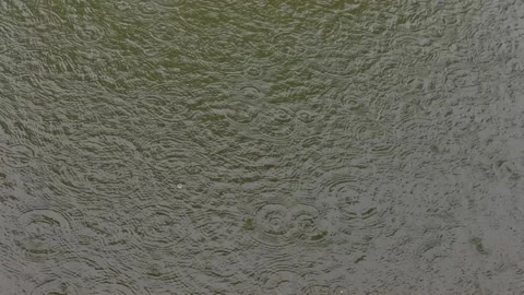 The rain drops on the water Stock Footage 151961383