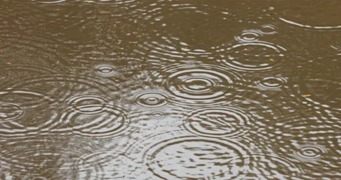 Rain drops in the water Stock Footage 159150040