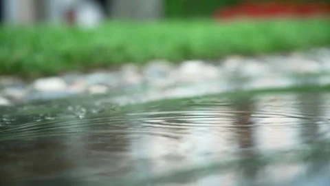 Rain drops on the water Stock Footage 167701333