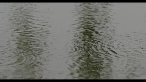 Rain Drops On The Water Stock Footage 307066765
