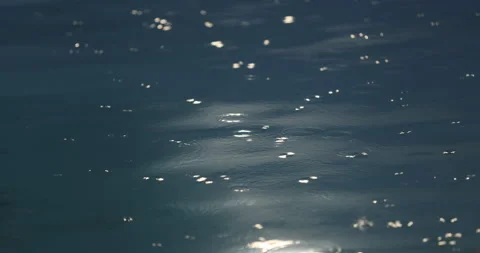 Rain drops in water Stock Footage 320452676