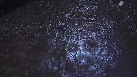 Rain drops in the water at Moon light Stock Footage 324390358