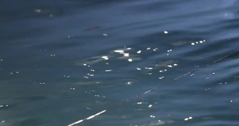 Rain Drops in the water night Stock Footage 320451141