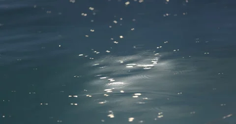 Rain drops on water Night time Stock Footage 320452637