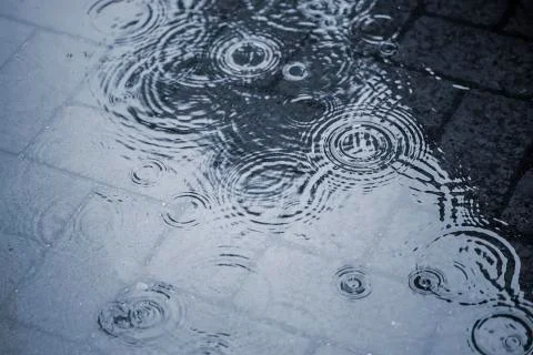 Rain drops on the water 写真素材