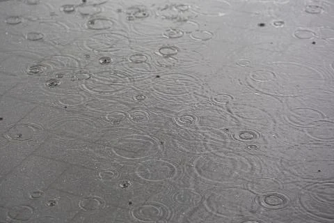 Rain drops on the water Stock Photos