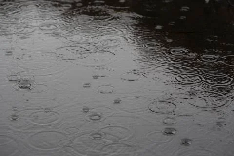 Rain drops on the water Stock Photos