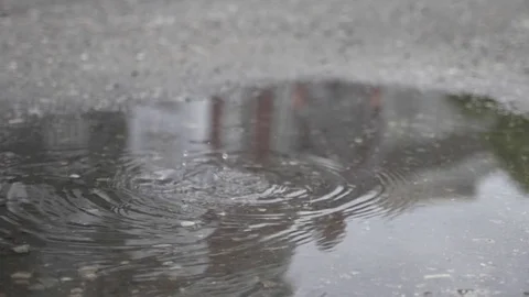 Rain drops on water surface Stock Footage 78024316