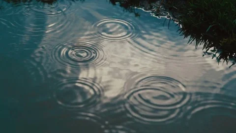 Rain drops on a water surface Stock Footage 81121737