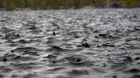 Rain drops on the water surface Stock Footage 113762442