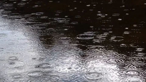 Rain drops on the water surface Stock Footage 118112189
