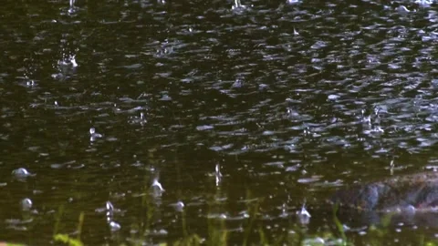 Rain drops on the water surface Stock Footage 153370370