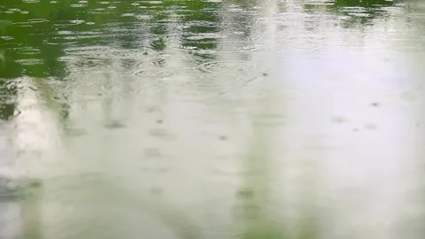 Rain drops on water surface Stock Footage 160408621