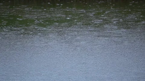 Rain drops on water surface Stock Footage 235234678