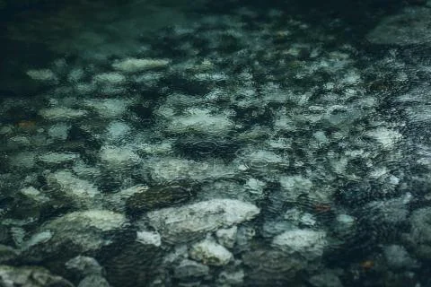 Rain drops on water surface Stock Photos