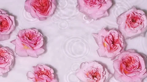 Rain drops on water surface with pink rose flowers, splashes, ripples, top view. Stock-Footage 197108262
