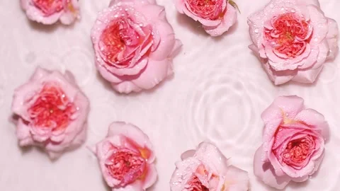 Rain drops on water surface with pink rose flowers, splashes, ripples, top view. 動画素材 200364301