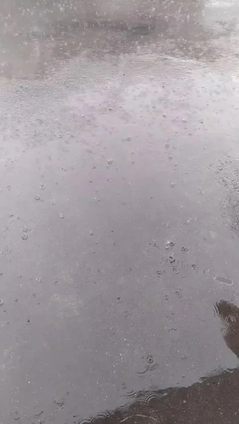 Rain Drops on Wet Surface - Rainy Weather Vertical B-Roll Stock Footage 336654077