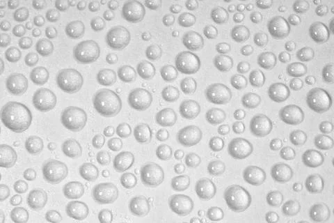 Rain drops on white background Stock Photos