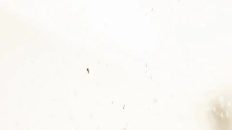 Rain Drops On A Window 4, Color Corrected Video stock 26114981