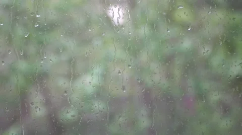 Rain drops on a window with blurred trees outside Stock Footage 68728527