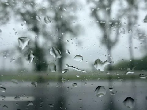 Rain Drops on Window with Blurred Trees in Background Stock Photos