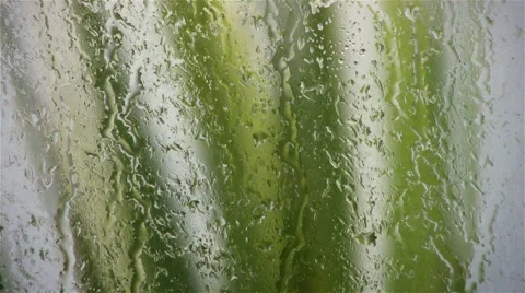 Rain drops on window during a storm. Plants are blowing in a strong wind outside Stock Footage 41389995