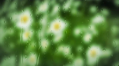 Rain drops on the window with flower background Stock Footage 40692275